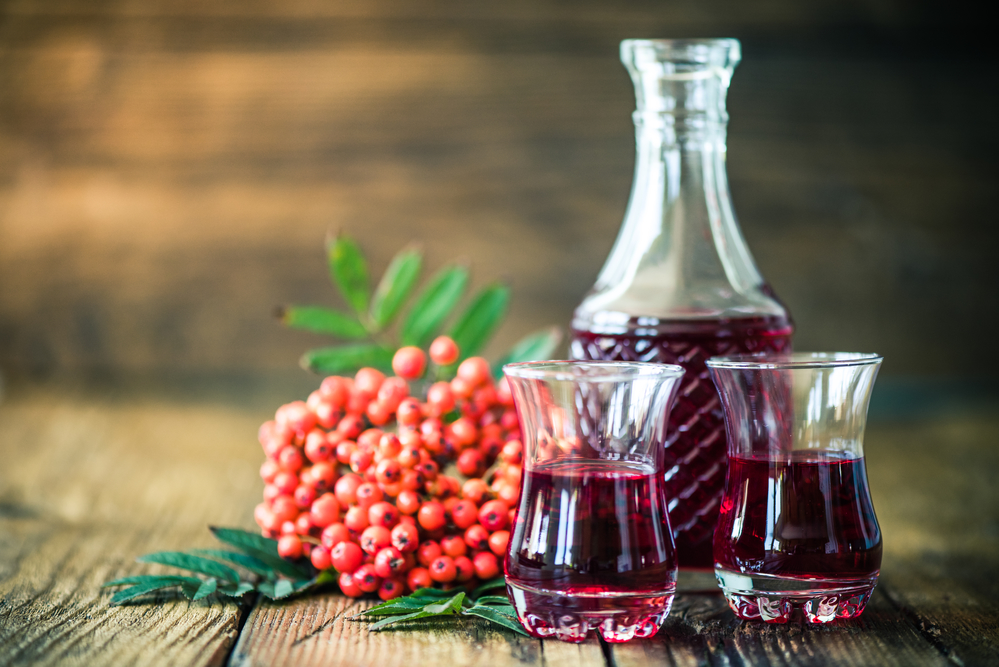 Рецепты домашних ликеров из рябины