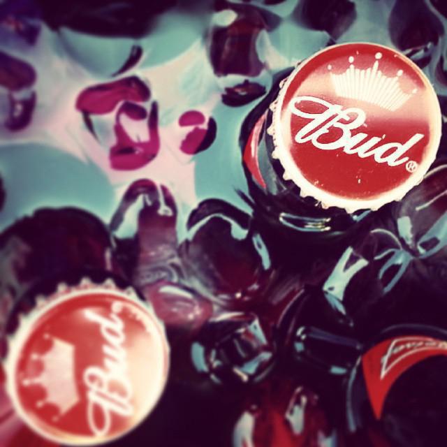 Обзор пива Будвайзер