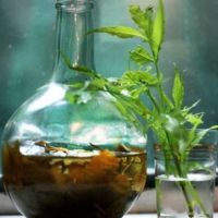 Успокоительные настойки для нервной системы