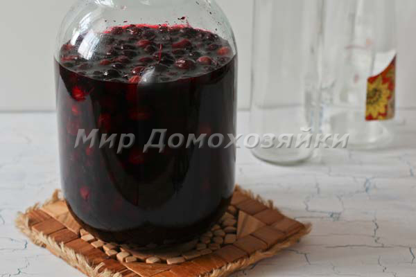 Наливка из ягод крыжовника
