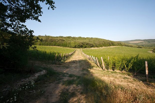 Органика и биодинамика