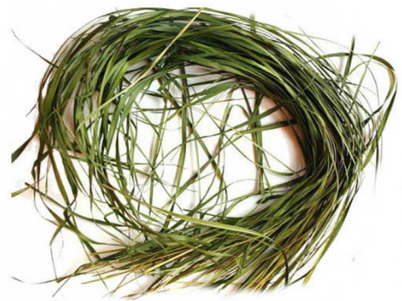 Настойка Зубровка