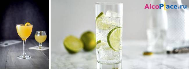 Рецепты коктейлей с джином