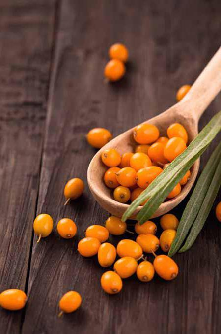 Как приготовить вино из облепихи