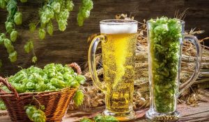 Основные этапы производства пива