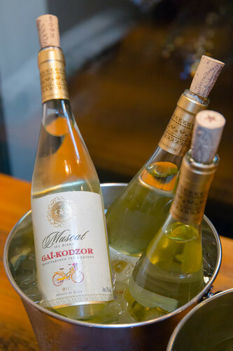 Гастрономический тур по Кубани Гай-Кодзор