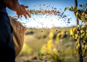 Органика и биодинамика