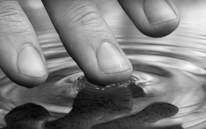 Органика и биодинамика