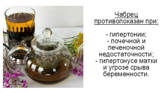 противопоказания чабреца