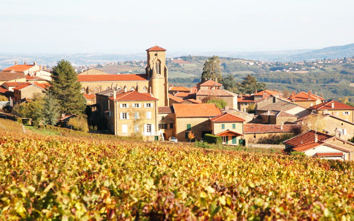 Почему французы не пьют божоле нуво