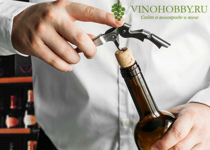 Как выбрать штопор для вина
