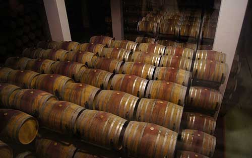 Обзор бренди Torres