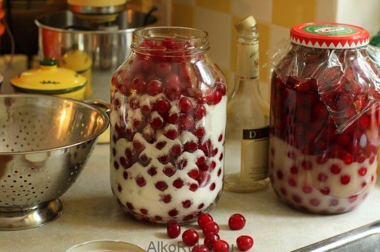 Рецепты наливки из вишни в домашних условиях