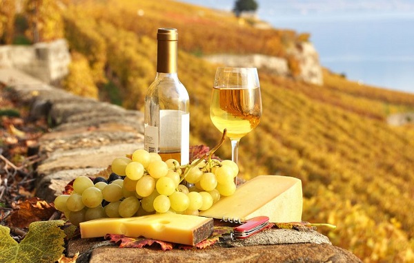 Как выбирать недорогое хорошее вино