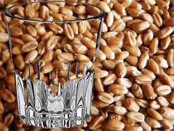 самогон из пшеницы