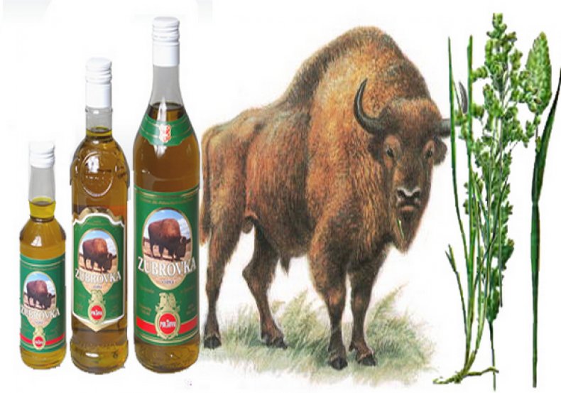 Настойка Зубровка