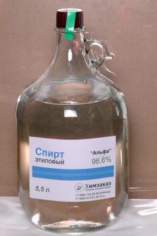 Готовим настойку из брусники