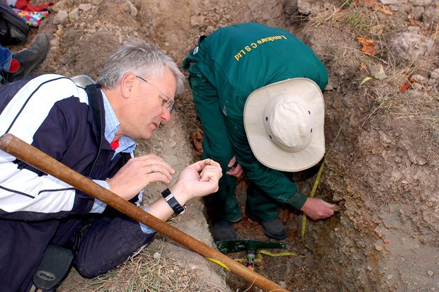 Органика и биодинамика