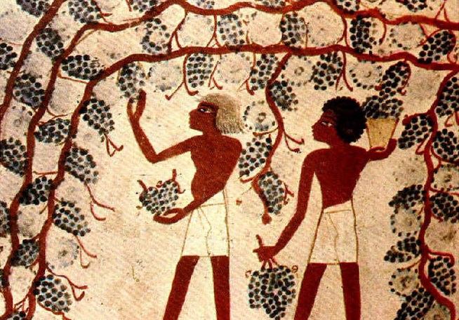 Какова калорийность спиртных напитков