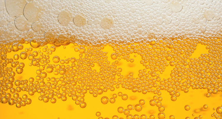 Пиво и пивные напитки: общее и различия