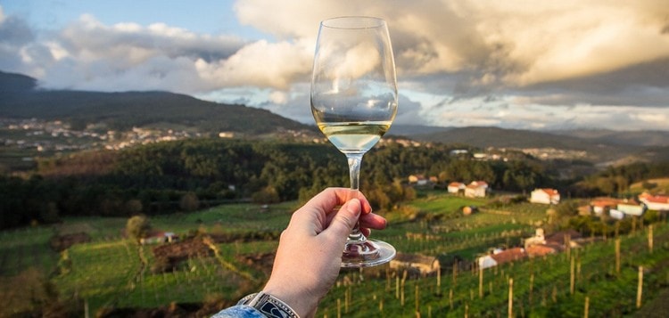 Обзор Португальских вин