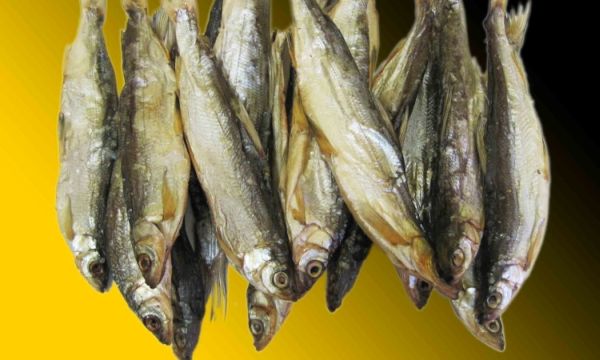 Названия рыбы к пиву