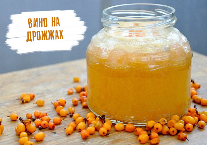 Как приготовить вино из облепихи