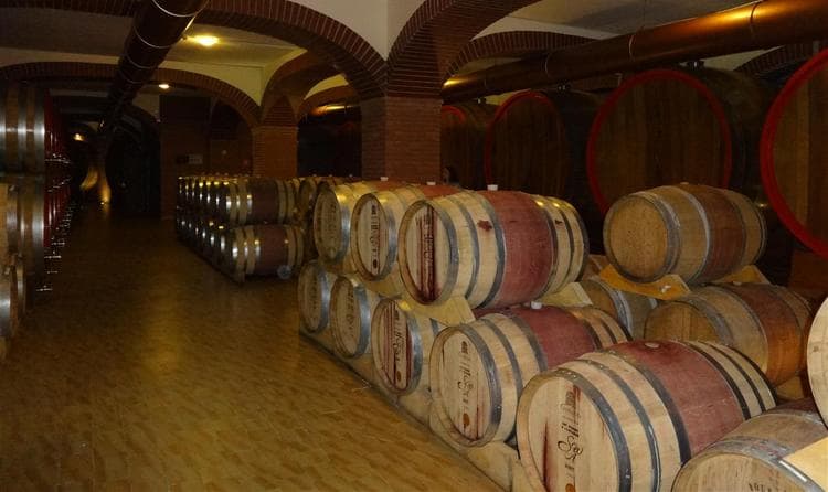 Азербайджанские вина и их особенности