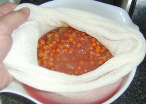 Рябиновое вино в домашних условиях