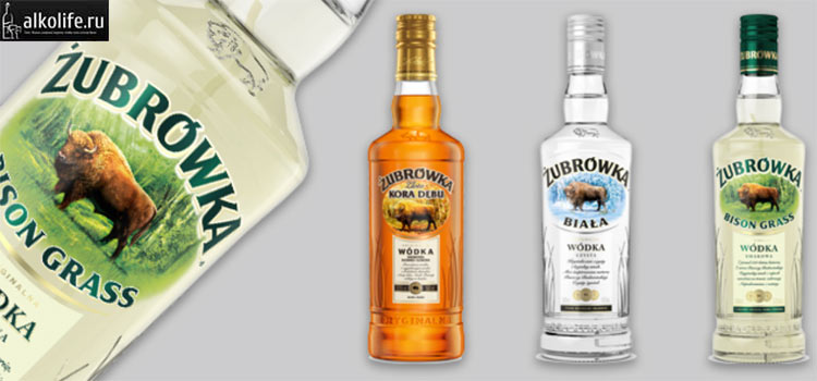 Настойка Зубровка