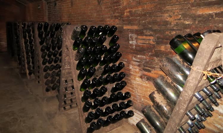 Как самому производить пастеризацию вина