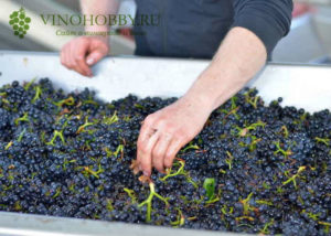 Органика и биодинамика