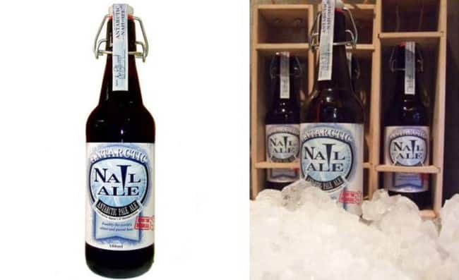 Обзор элитного сорта пива