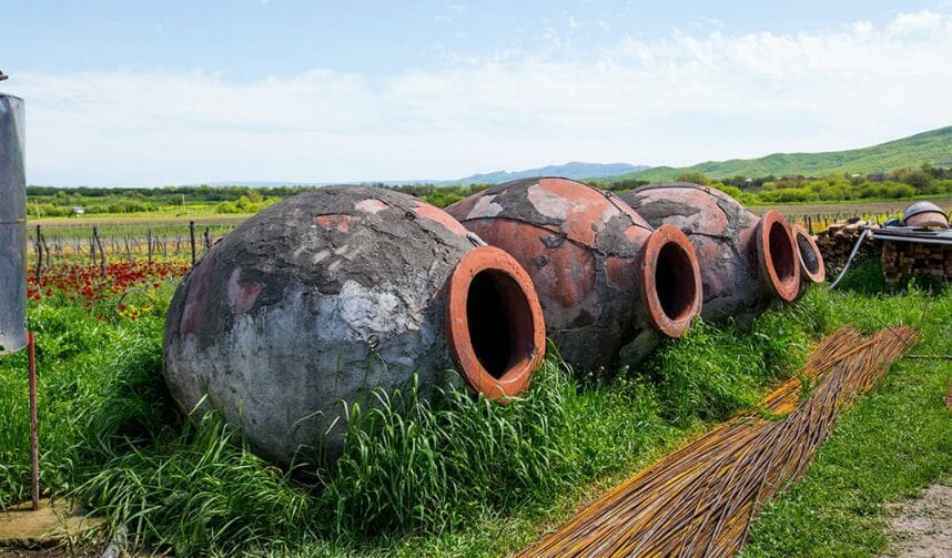 Все о вине алазанская долина