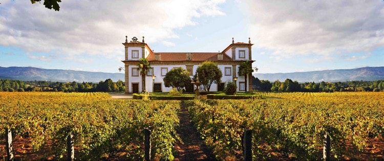 Обзор Португальских вин