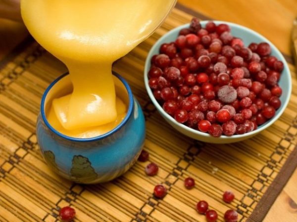 Готовим настойку из брусники