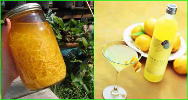 Как приготовить лимончелло в домашних условиях