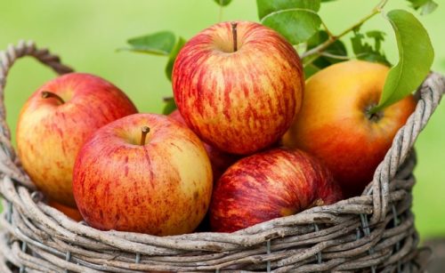 Делаем самогон из яблок