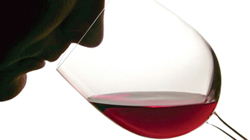 аромат вина