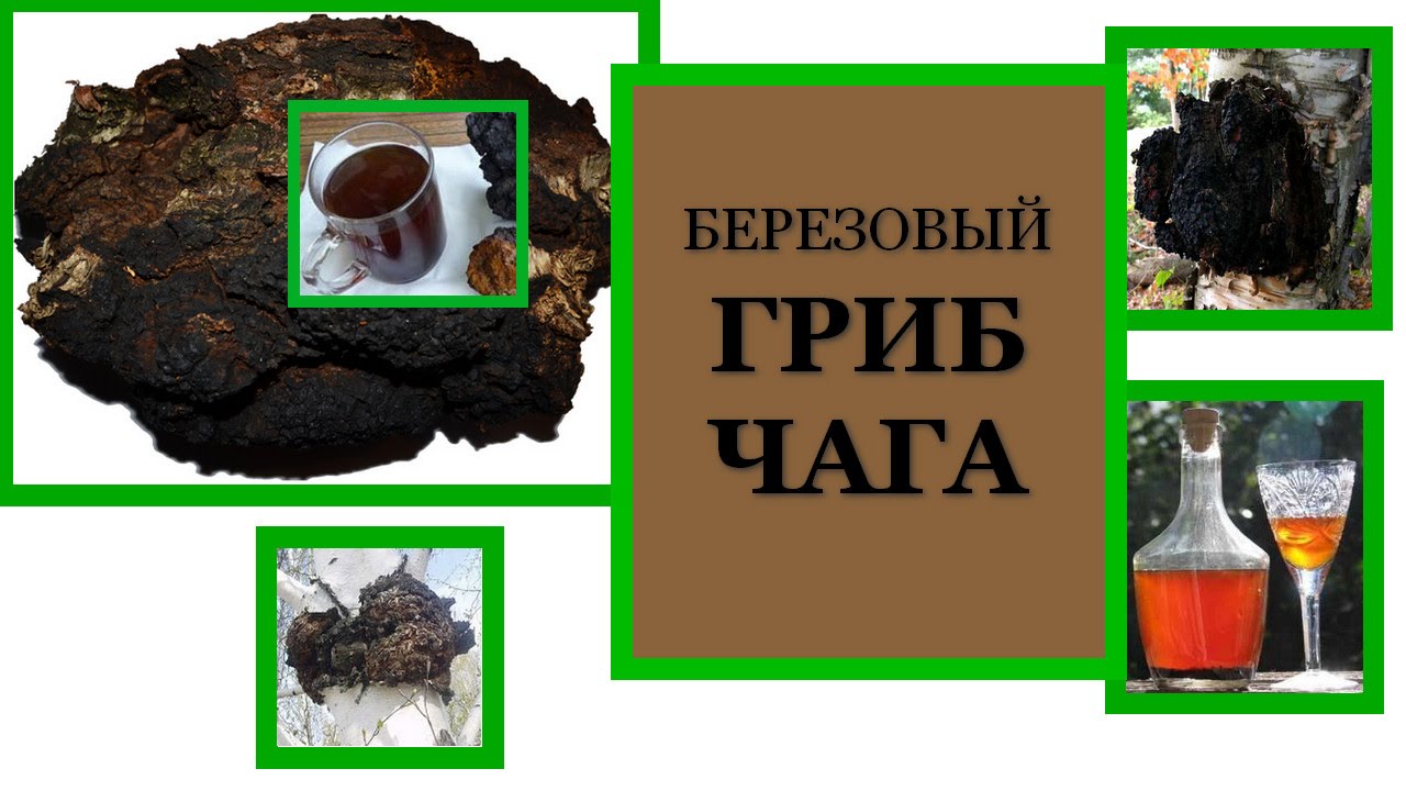 самогон на чаге