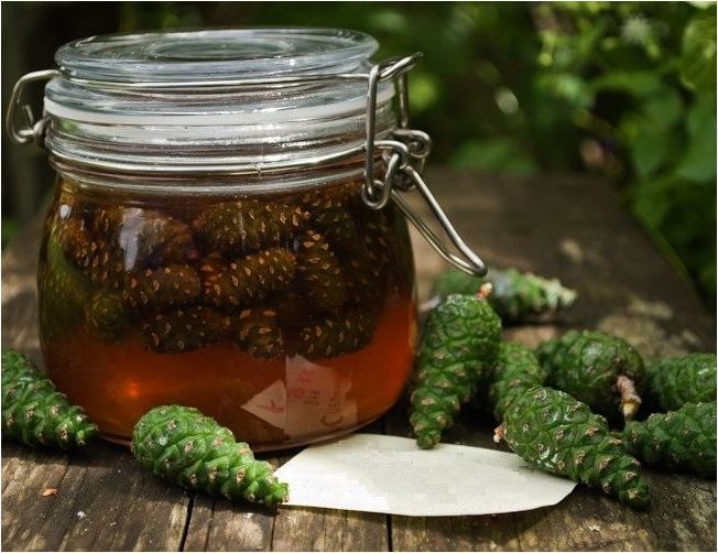 Настой кедровых шишек