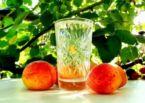 самогон из фруктов персиков