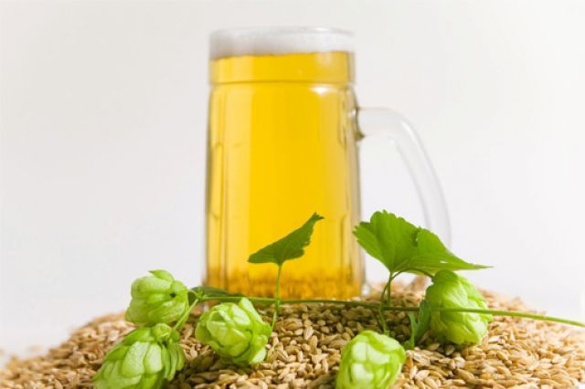 Светлое зерновое пиво