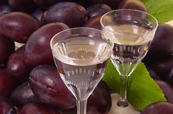 брага и самогон из слив