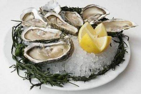 Как правильно употреблять текилу